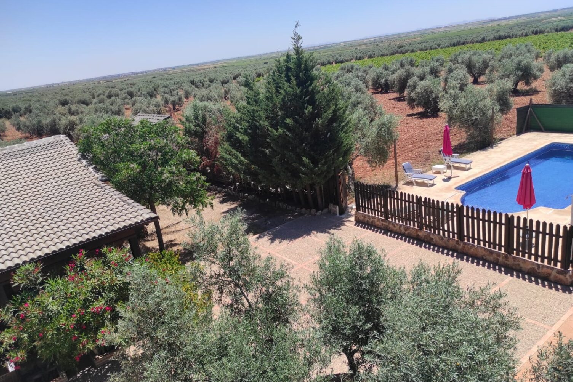 Casa Rural Entreolivos